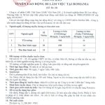 Thông báo tuyển lao động cho công ty Scadt SA tại Romania